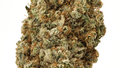 Alien OG
