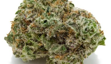 Green Crack God