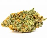 Blue Dream