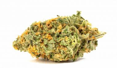Blue Dream