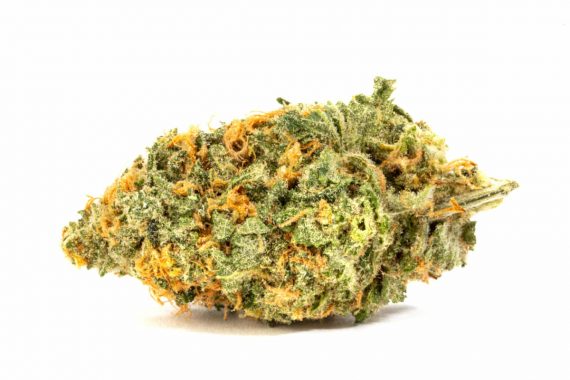 Blue Dream