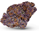 Buckeye Purple