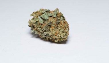 Darkside OG