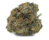 Master Bubba