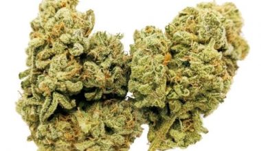 Zombie Kush