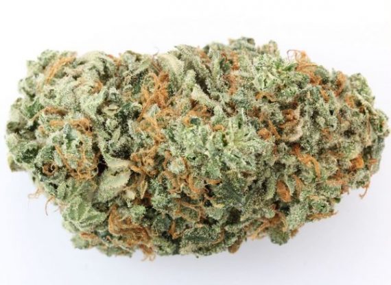 G13