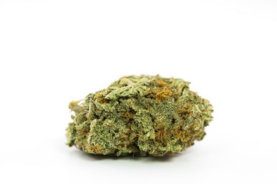 Girl Scout Cookies