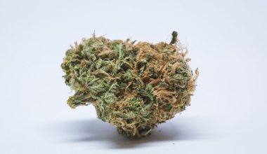 Honey Bananas