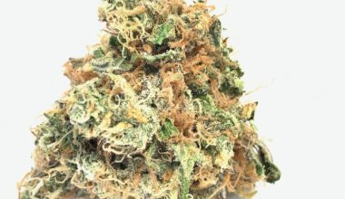 White Fire OG