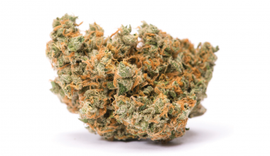 Jack Herer