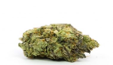 MK Ultra