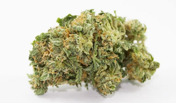 Mazar Kush