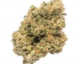 Platinum OG