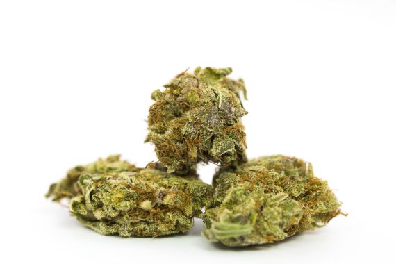 Space Cookies