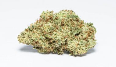 Zeus OG