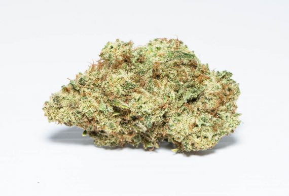 Zeus OG