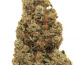 Afghani
