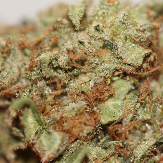 Afghani