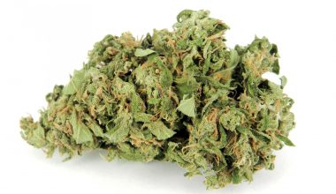 Kush Berry