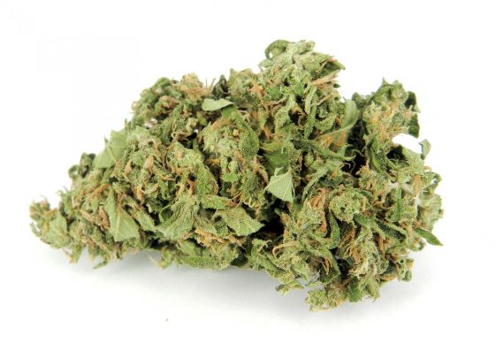 Kush Berry