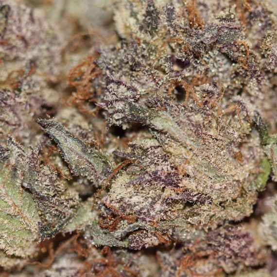 Black Diamond