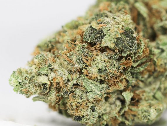 Tuna Kush
