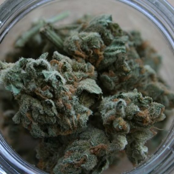 Blueberry Haze