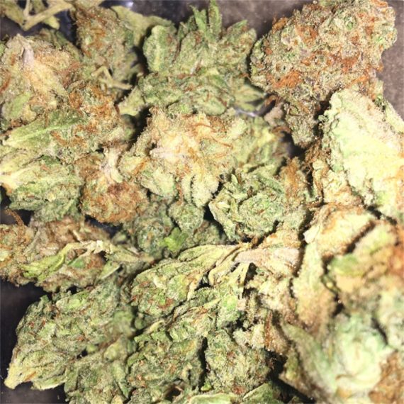 Kush Berry