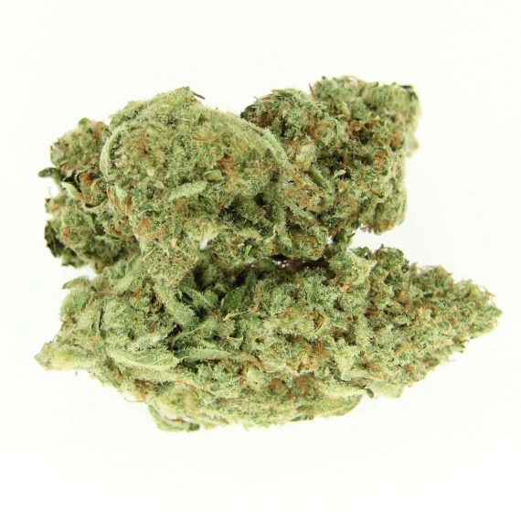 CBD Dream