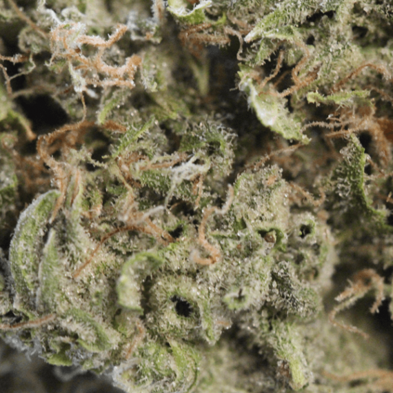 Frosted Cherry Cookies