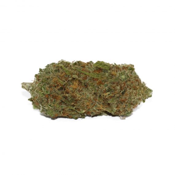 Girl Scout Cookies