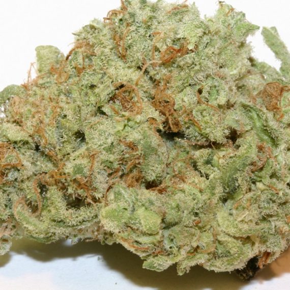 Juicy Fruit