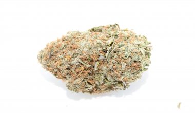 Lemon Creamsicle