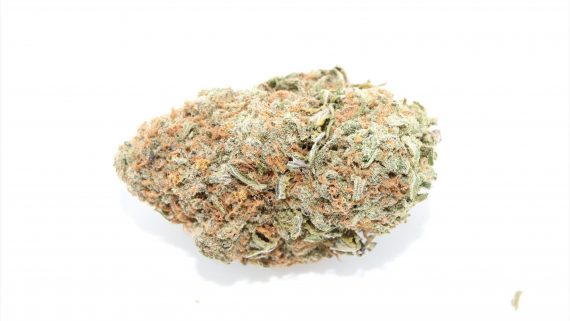 Lemon Creamsicle