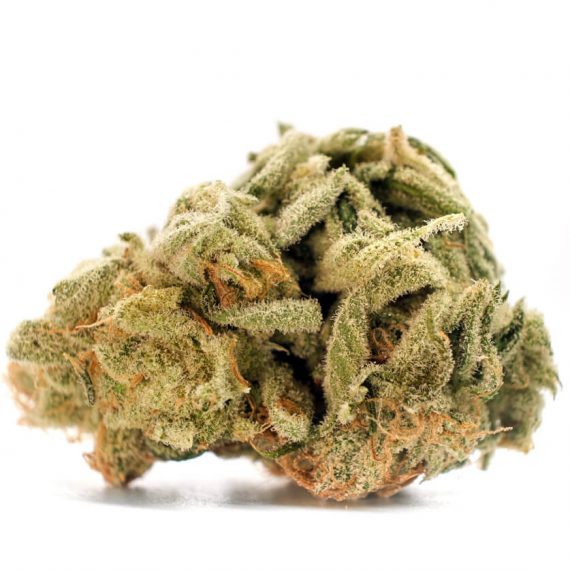 Lemon Kush