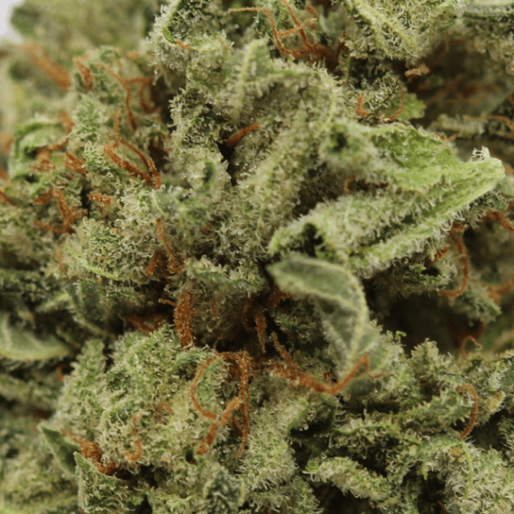 Mandarin Cookies