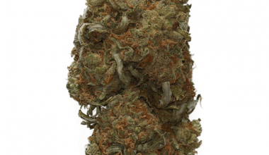 Bubbleberry