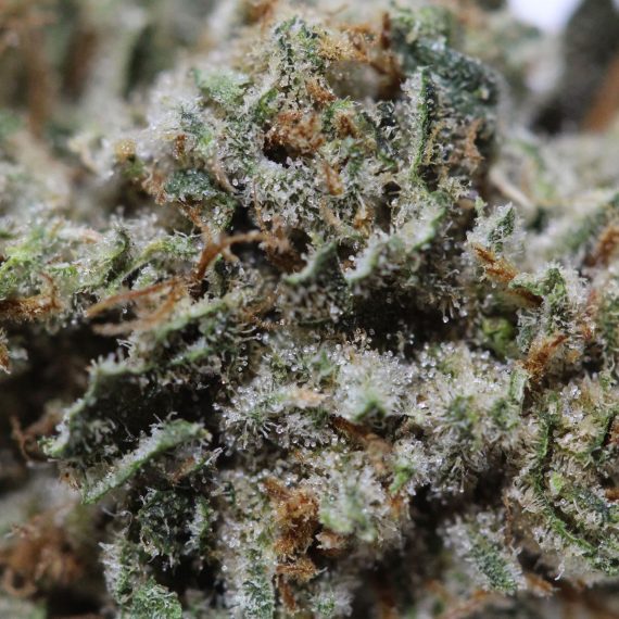 Pine Tar Kush