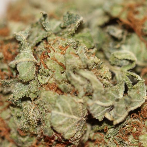 Platinum OG