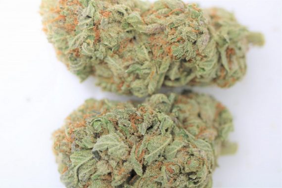 Snow White