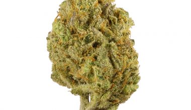 Super Lemon Haze