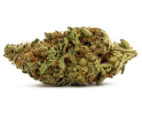 Violator Kush