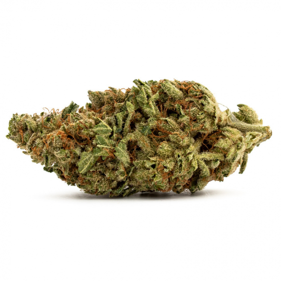 Violator Kush