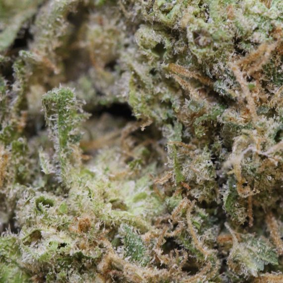 White Cheese