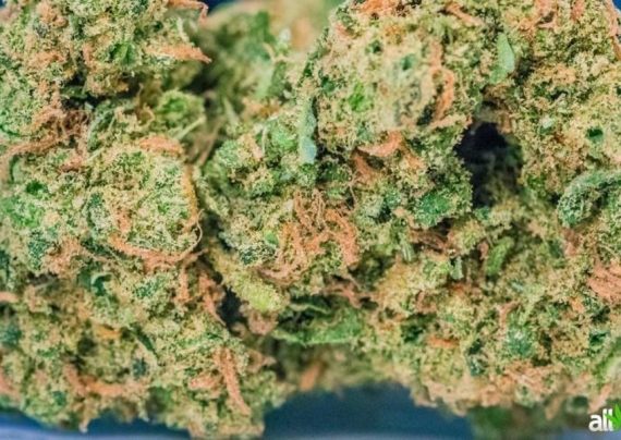 Blue Dream