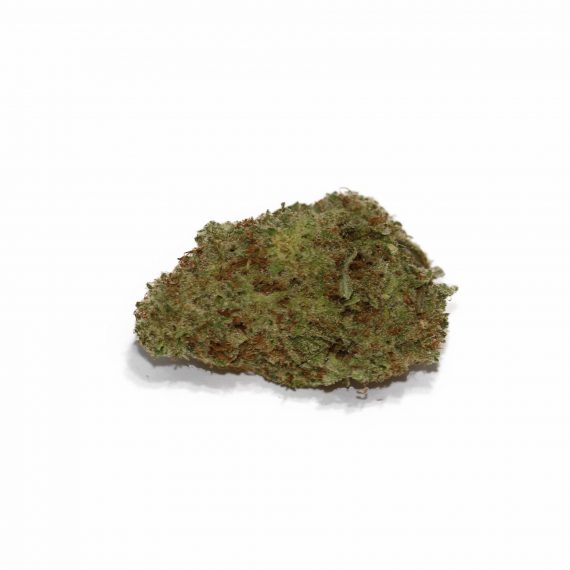 Zeus OG